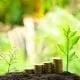 passiveincome grannyflats
